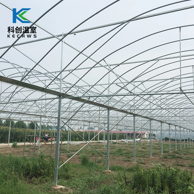 
2021 Hot Selling Farming Vegetables Multi-Span Film Commercial Green House 