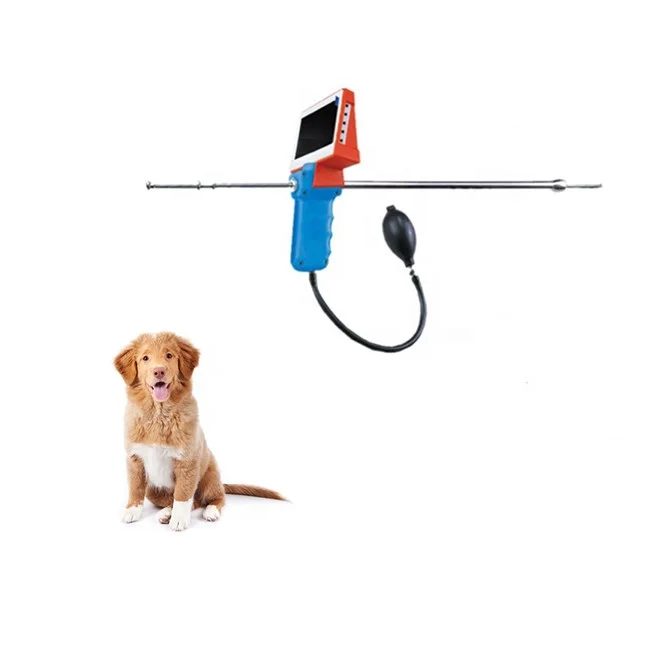 Digital visual endoscope insemination gun for cattle cow equine artificial endoscope sperm device