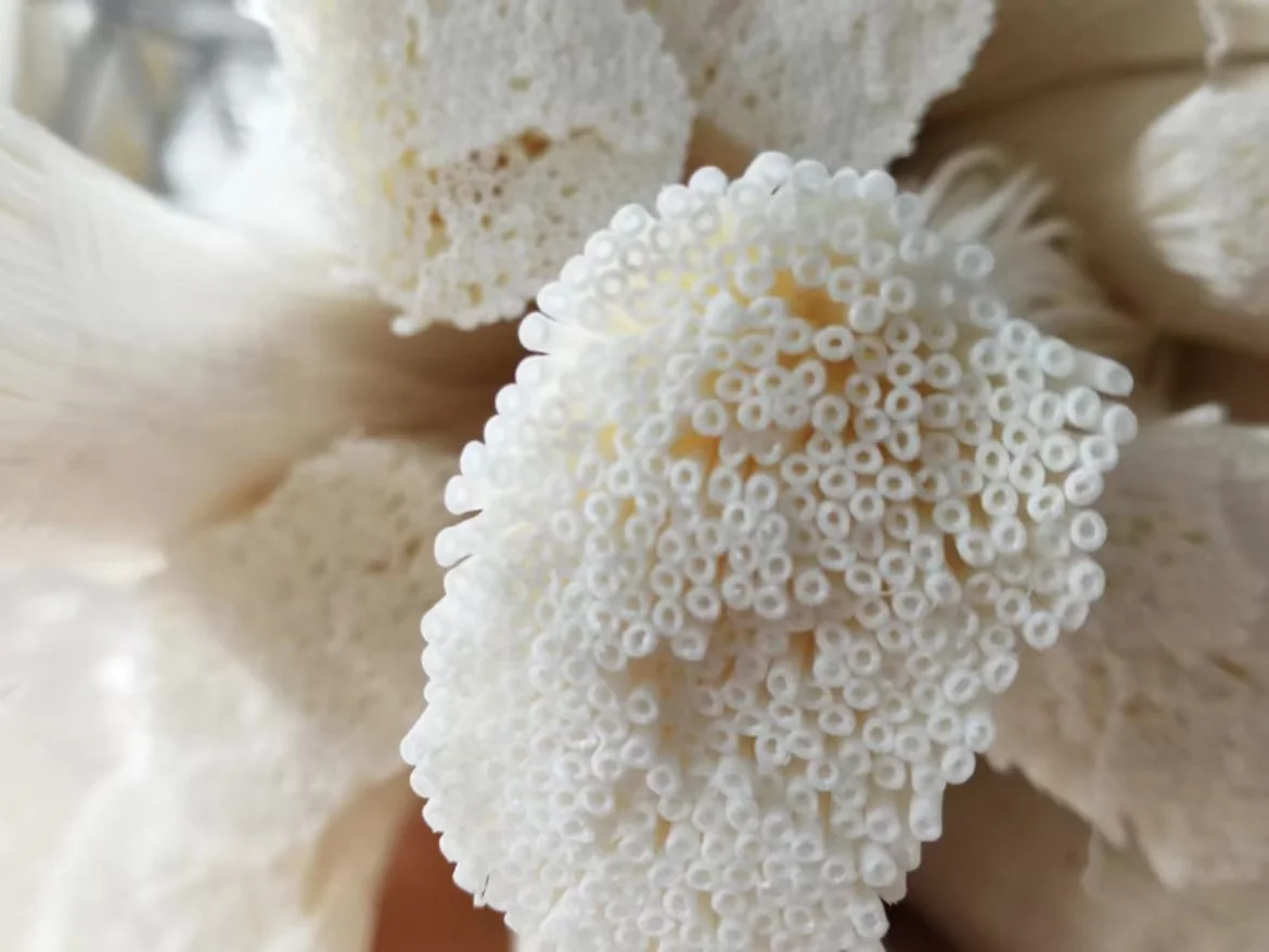 Membrane Bioreactor Elements MBR Membrane Submerged Membrane