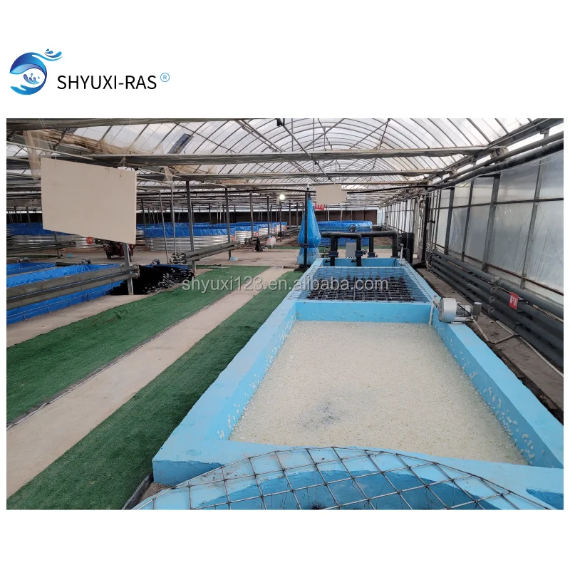 
High Density Recirculating Aquaculture System salmon Farming indoor RAS 