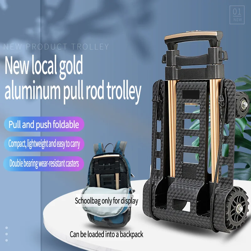 OEM ODM Ultra-light portable trolley max loading 40kg  Mini Portable Trailer Dolly Hand Truck Cart Adjustable Trolley