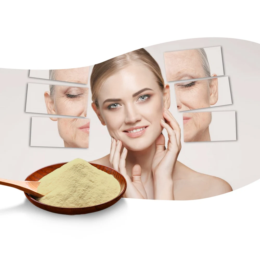 
Pure additives food sea cucumber extract protein collagen peptide powder 