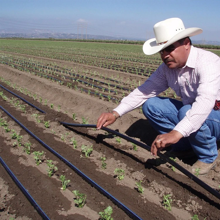 best price agriculture tree water drip tape hose line design automatic watering farm irrigation system for home garden plants