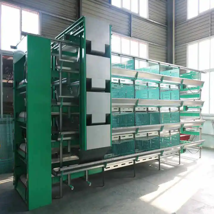 Automatic animal husbandry equipment / China animal cages layer chicken cage poultry farm