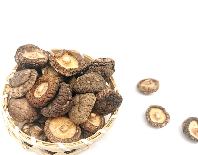 Shitake Mushroom Dry Shiitake Dried Mushroom Shiitake Price Per Kg