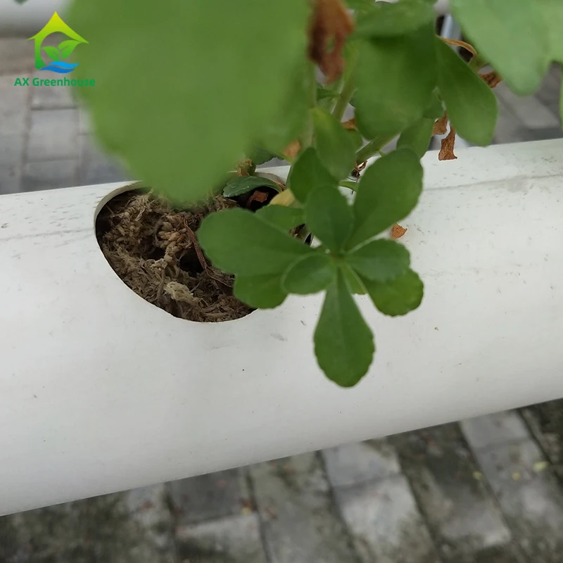 solar power hydroponic fodder growing system with sprinkler