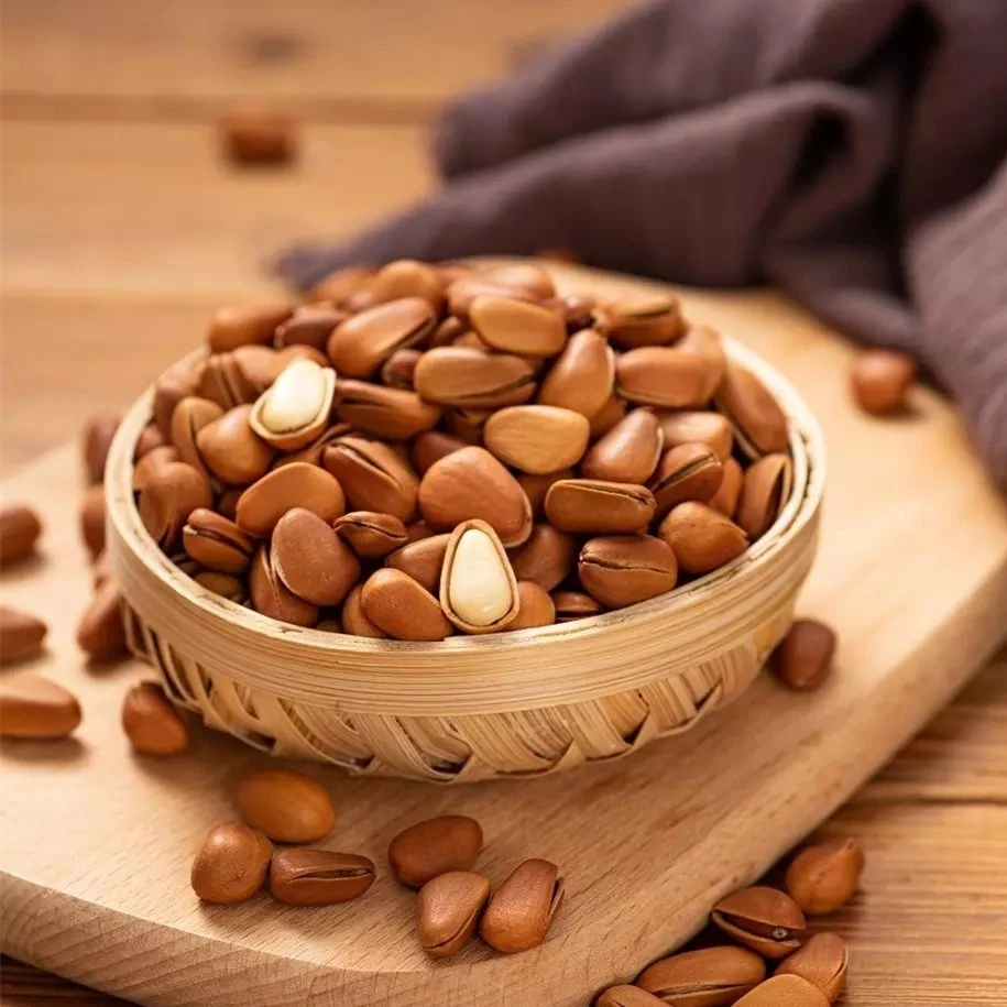 Hot Sale High Quality Organic No Additives Pure Natural Pine Nuts With Shell