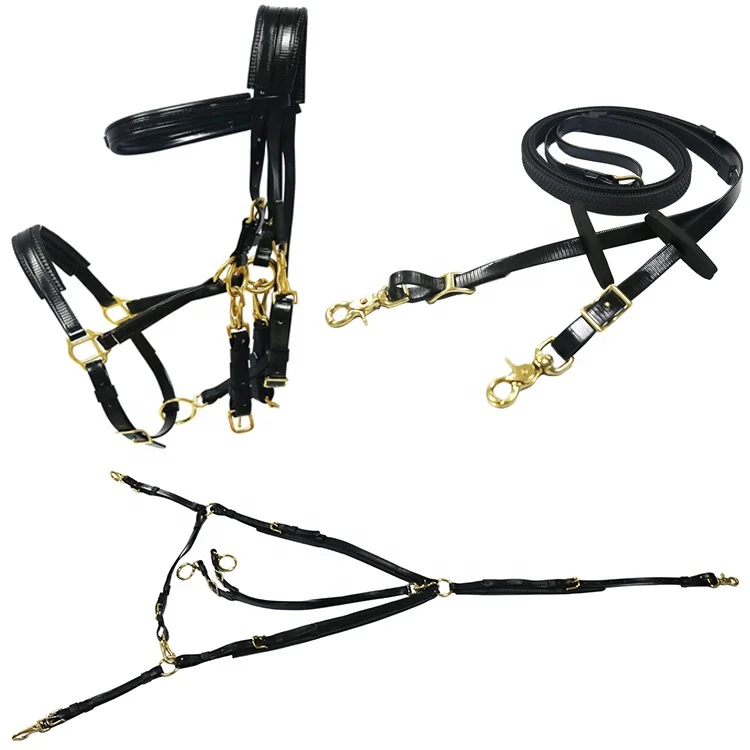 Марафонская выносливость, подтяжка, нагрудник и бег Martingale