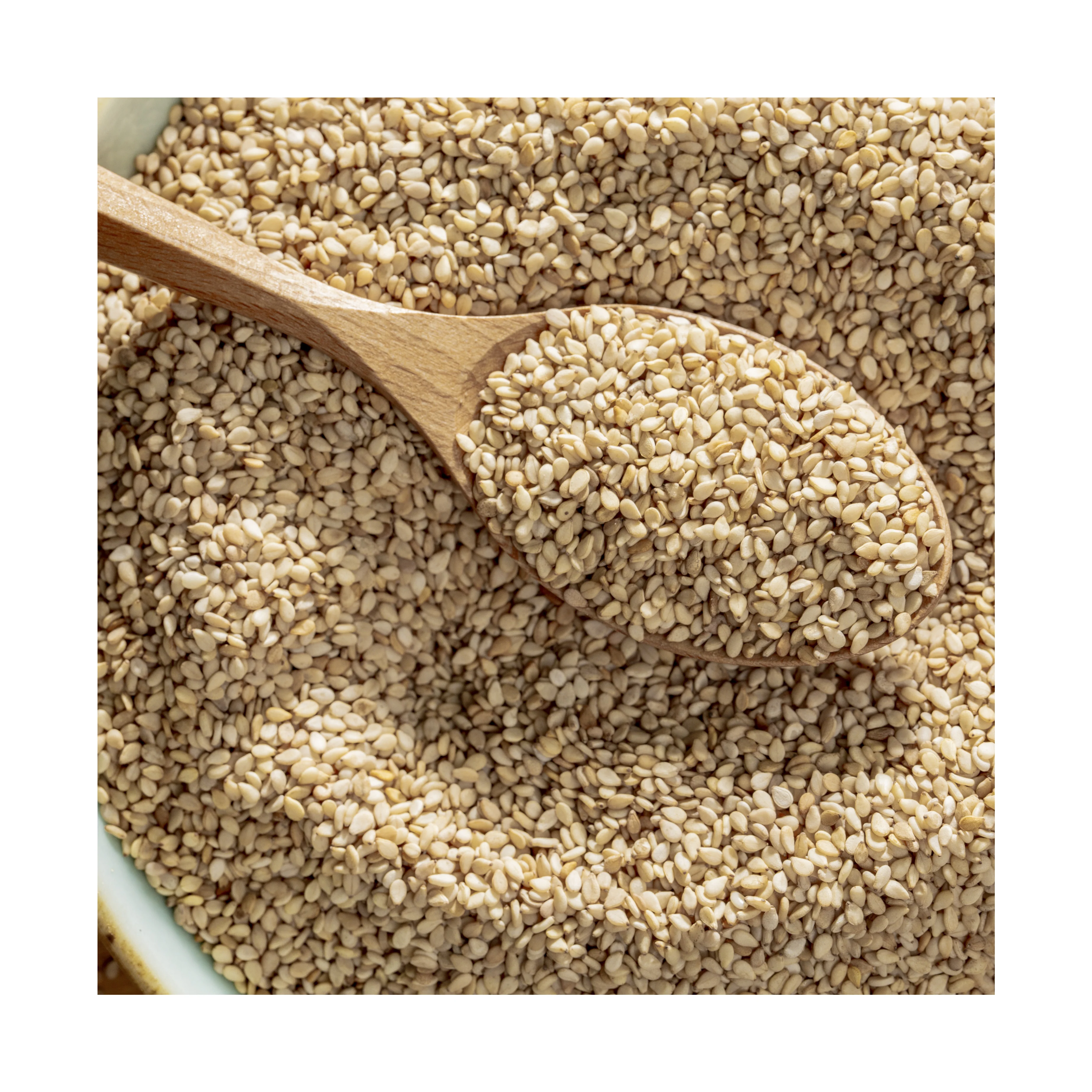 
High Quality white sesame seeds 