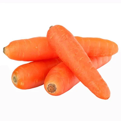 New Fresh Delicious Vegetable Sale Fresh Bulk Carrot For Digestion