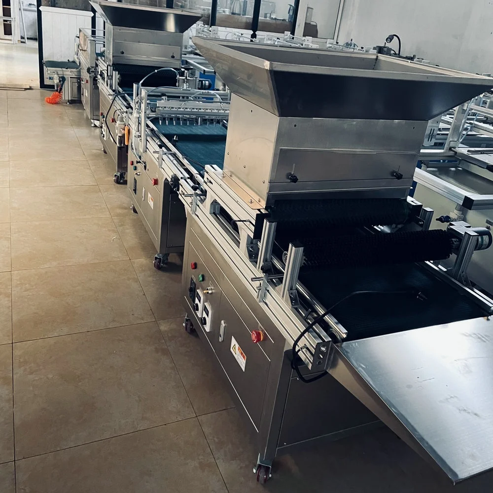 Auto Tray Seeding/Sowing Machine Seeder Sower Tray Vegetable Seeder Machine