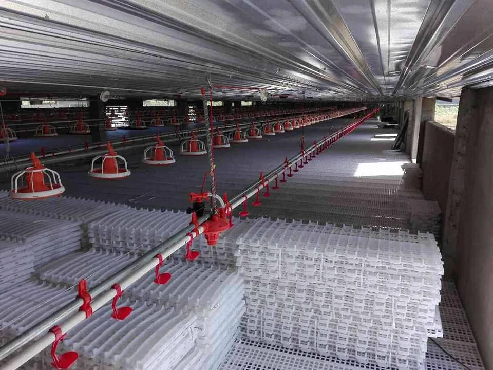 best price free sample plastic flooring for poultry chicken duck poultry slat floor