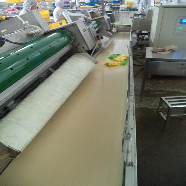 
corn snack boiled sweet corn canned corn cob ready to eat 