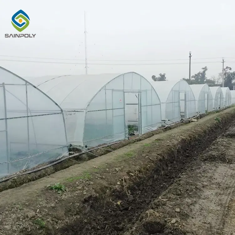 Hot Sale Sainpoly Economical Tunnel Greenhouse Design for Growing Vegetables