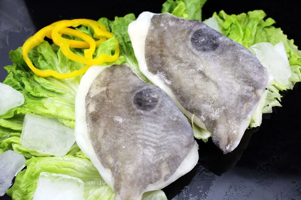 
Black dory fillets in fish frozen seafood 
