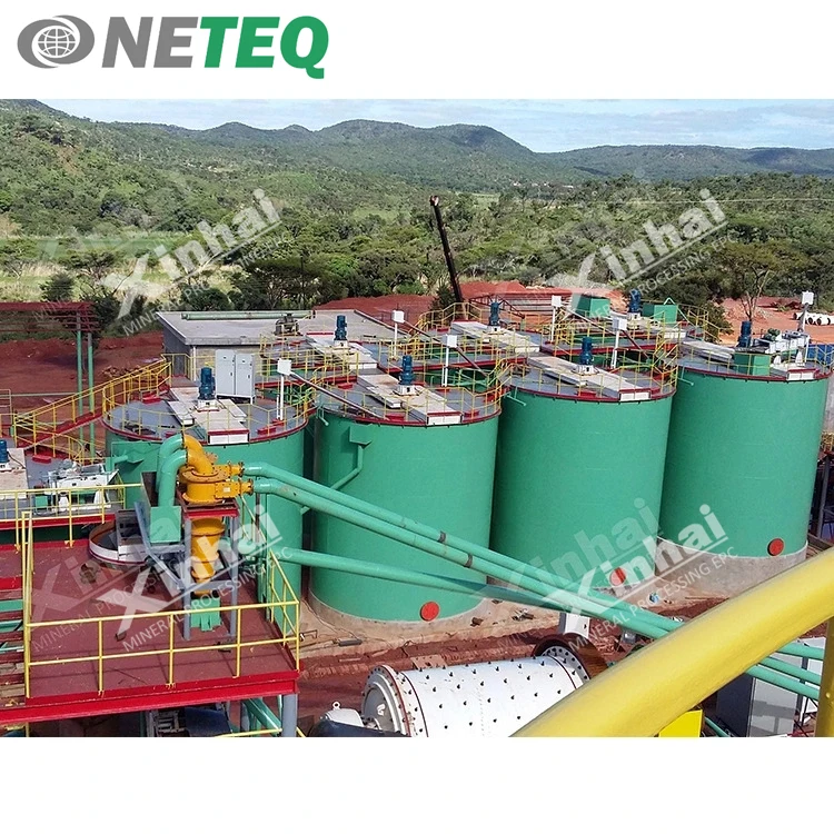 Placer Gold Mining Equipment CIP Separating Leaching Plant 100TPD Small Gold Processing Machine For Sale