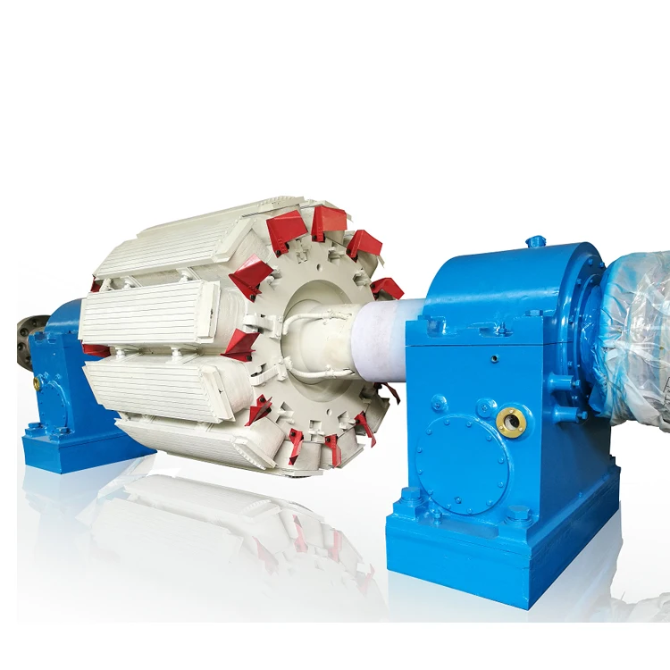Customized High Efficiency Pelton Water Turbine 300kw 800kw 1500kw Hydro Generator