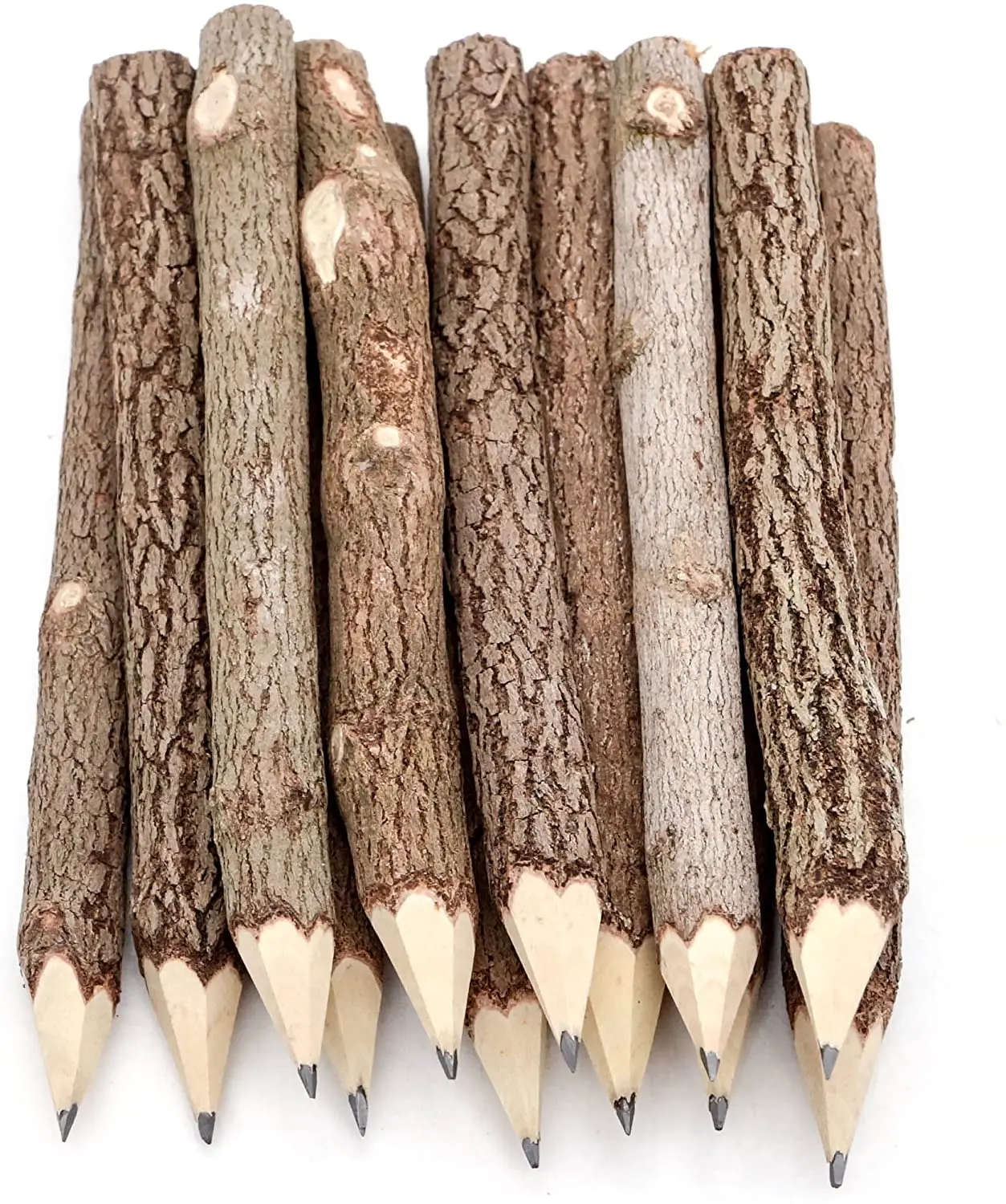 Pencil Wood Favors of Graphite Wooden Tree Rustic Twig Pencils Unique Birch of 12 Camping Lumberjack