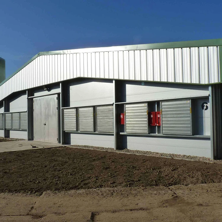 H Beam Steel Structure Poultry Farm Building Shed Chicken House In Pakistan