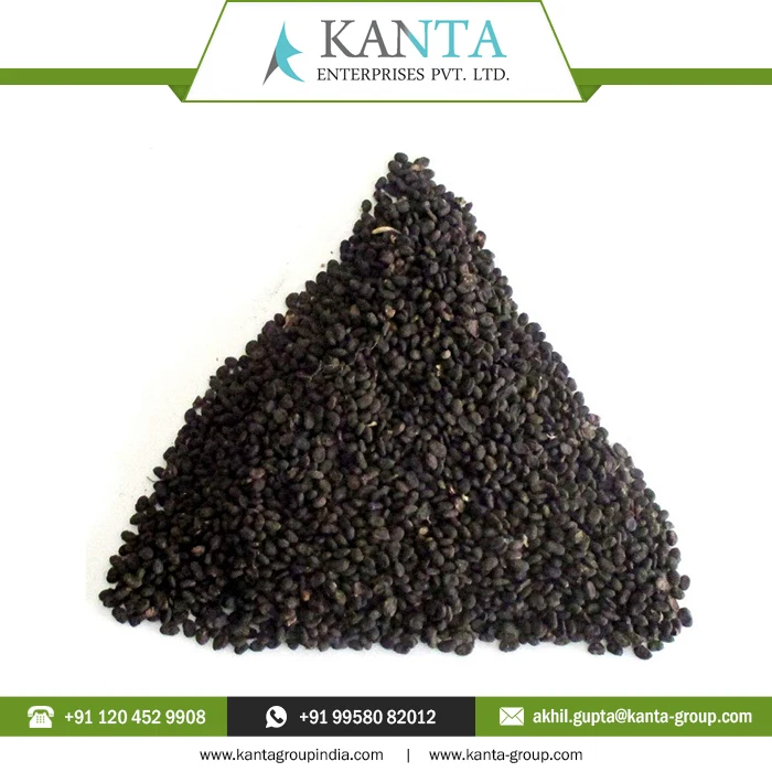 Private Label OEM / ODM Top Quality Carrier Oil  Psoralea Seed Oil at Wholesale Price From Indian Supplier