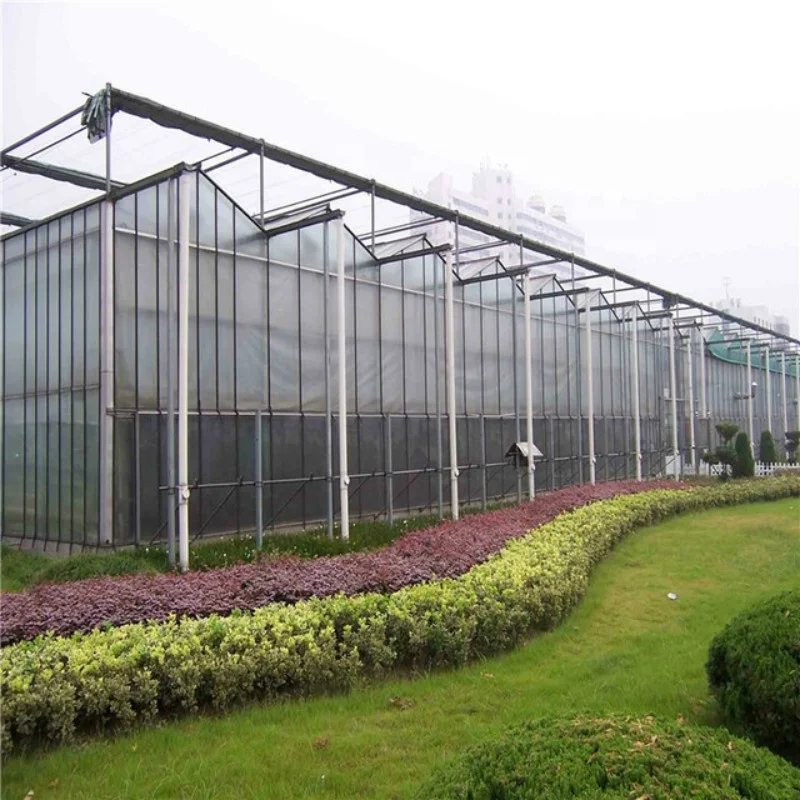 
China Intelligent Polycarbonate Sheet/PC Sheet Greenhouse for Cultivation/Planting/Exhibition 