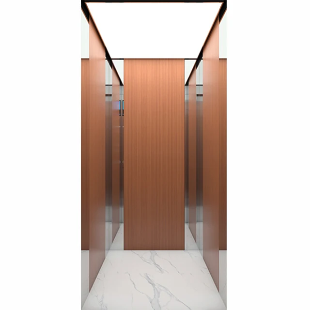 china factory price 2023 year household 3 person small home elevators 450kgs capacity with factory price.