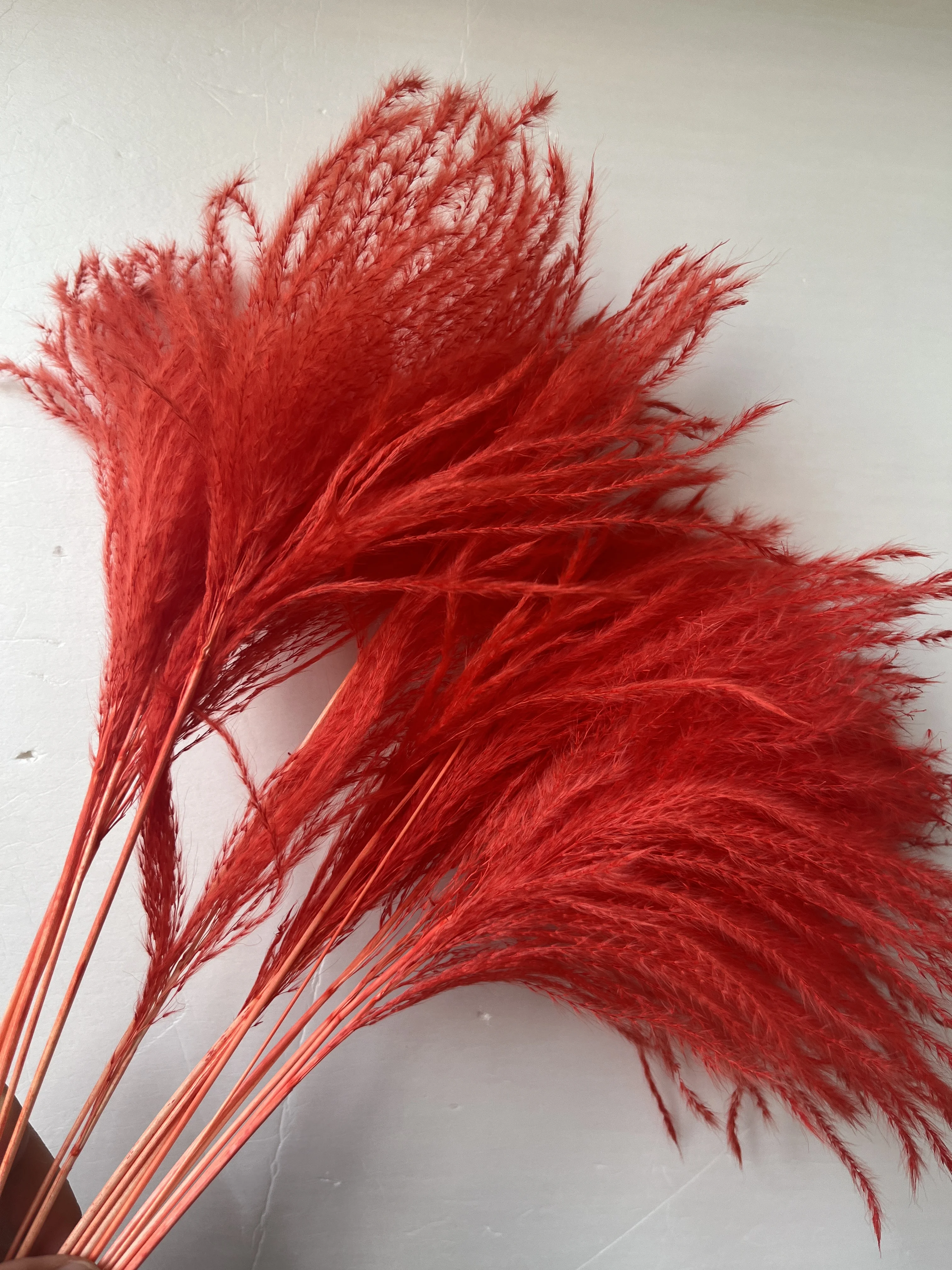 Factory Wholesale Feather Grass Dried Flower Bouquet Home Decoration Flowers