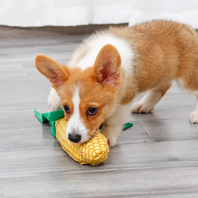 2 in 1 corn design fashion funny dog toys ,pet squeak snuffle training functional toys