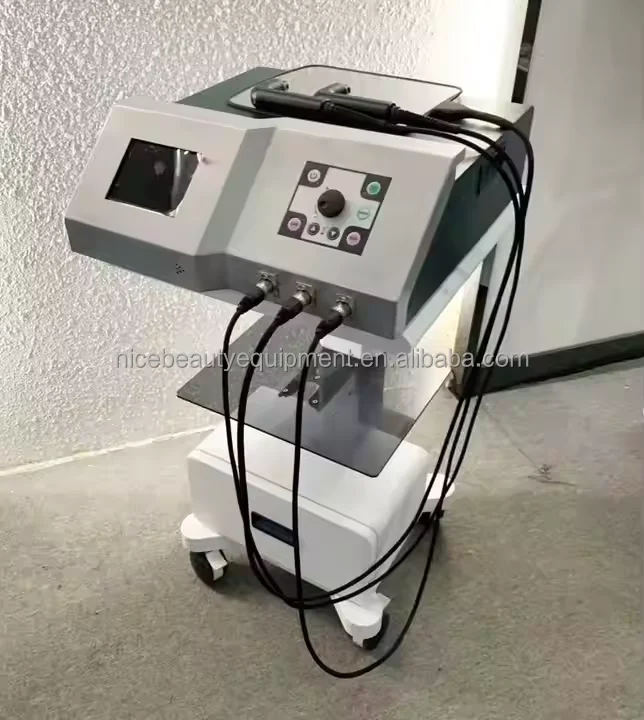 INDIBA Body Care 448K Tecar Therapy Indiba RET CET RF Facial Lifting Beauty  Diatermia Equipment