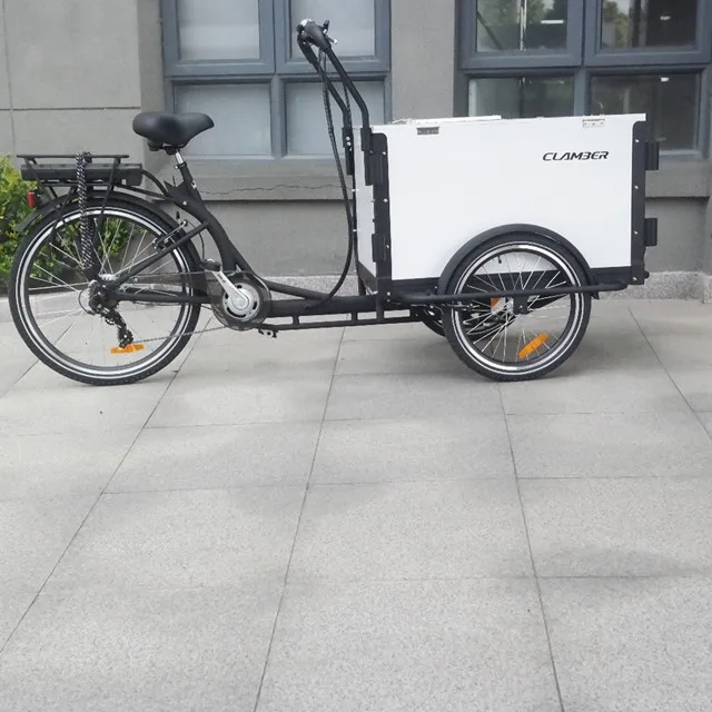 Electric cargo bike ice cream bike with front box loading for sale