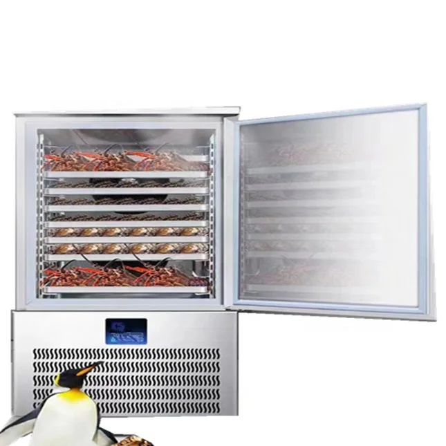 700L to 1600L One/double door small deep freezer quick freezer stainless steel plate big blast chiller freezer