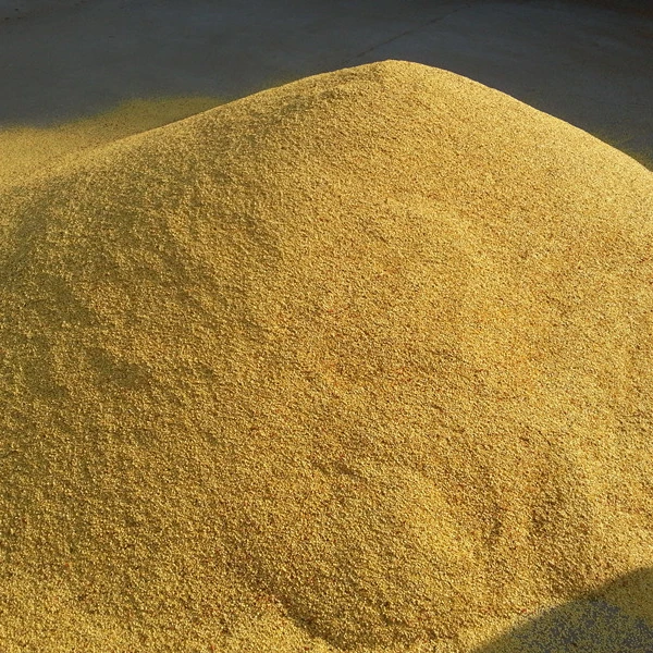 
Hot Chilli Seed with 8000shu to 10000shu in yidu chilli seeds and chaotian chilli seed Supplier for Pakistan ,Cambodia market 