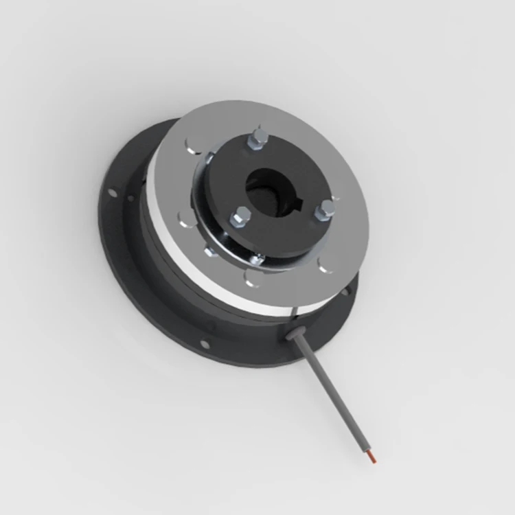 DZJ-80 Single Plate Power On Electromagnetic Brake