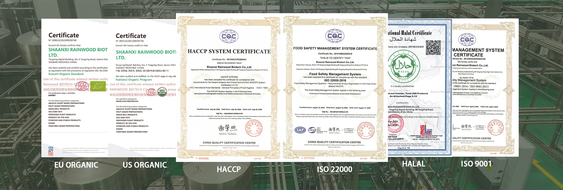 Органические натуральные фрукты пищевые продукты экстракт клюквы порошок