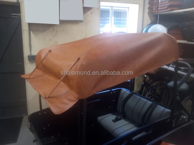 250W EPAC Elektrische Bakfiet/kids transport E Bicycle Tricycle/Cargo Bakfietsen/500W Dog Delivery Trike pedelec kushion seat