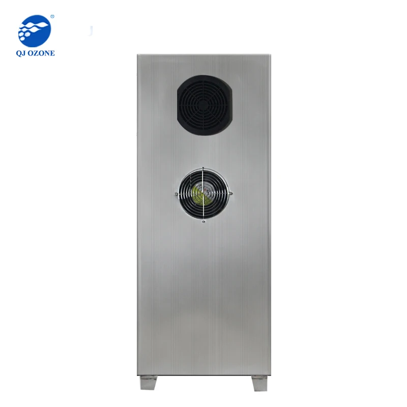Professional Ozone Machine 60g For Odor Remove Water Purification