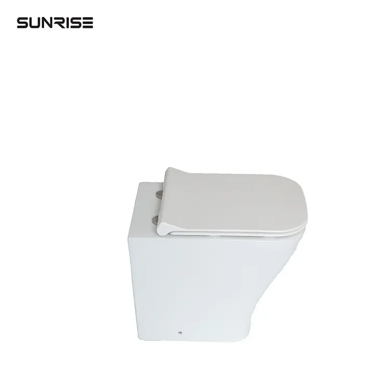 Custom One-Piece White Ceramic Toilet Seat with Shower Modern Design Chinese P-Trap Bathroom Size Back Wall Toilet