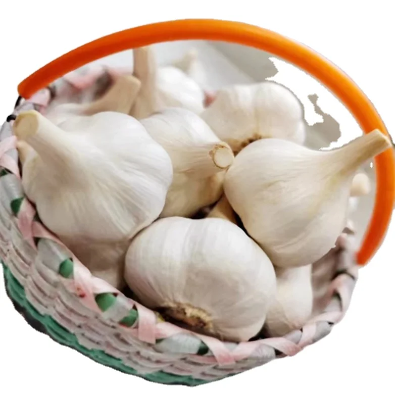 Factory suppliers wholesale all types fresh raw material peeled garlic fresh white garlic for make black garlic