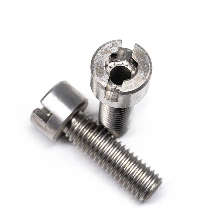Screw manufacturer OEM Custom Stainless Steel Hollow Slotted Screws with Full Thread titanium screw