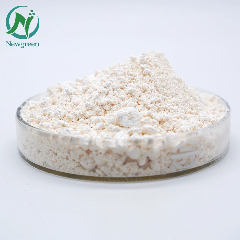 Supply  High Quality Newgreen 99% Powder CMC Sodium Carboxy Methyl Cellulose Food Grade