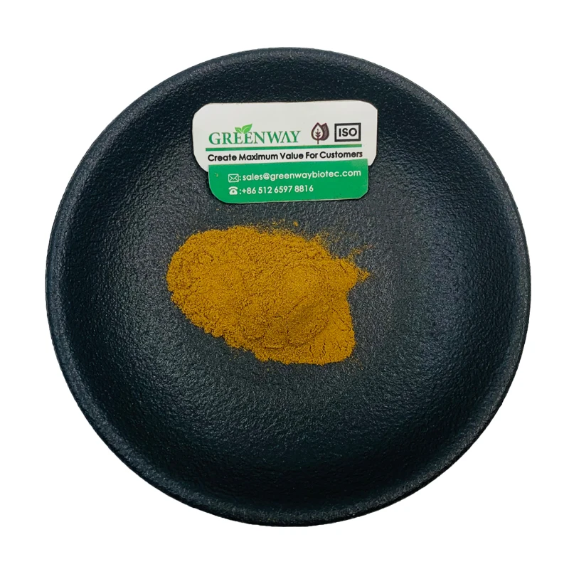 Competitive Price Hydrastis Canadensis Extract Golden Seal Root Extract Powder