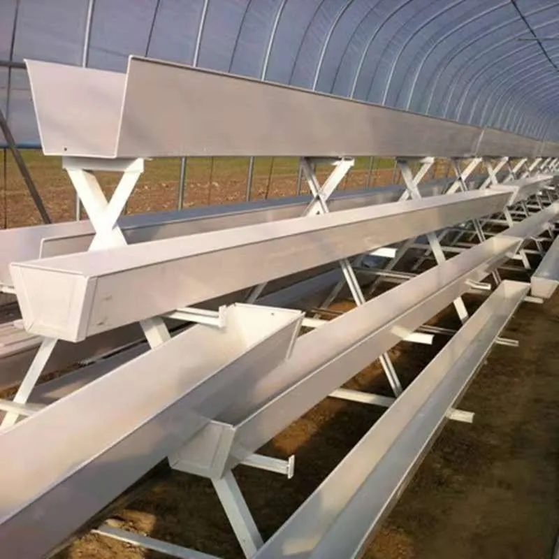 Hydroponic System for Agriculture
