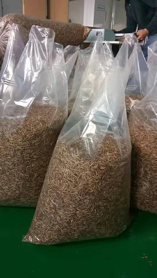 2022 Sale Wholesale best Poultry Animal Chicken feed mealworms