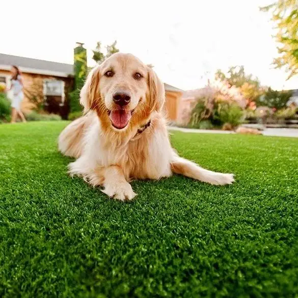 Hanwei grass 12x12 Turf puzzle  artificial grass interlocking artificial grass  tiles indoor for dogs