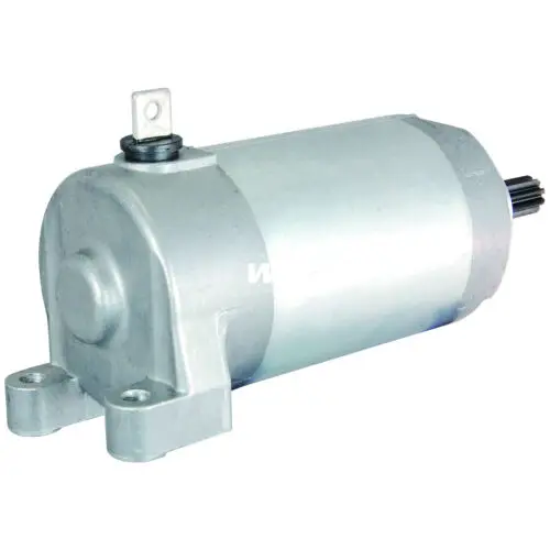 Motorcycle Parts Starter Motor For YAMAHA YFM250 YFM250X RAPTOR 250 YFM25R 250 3C5-81890-00 Motorcycle Parts & Accessories