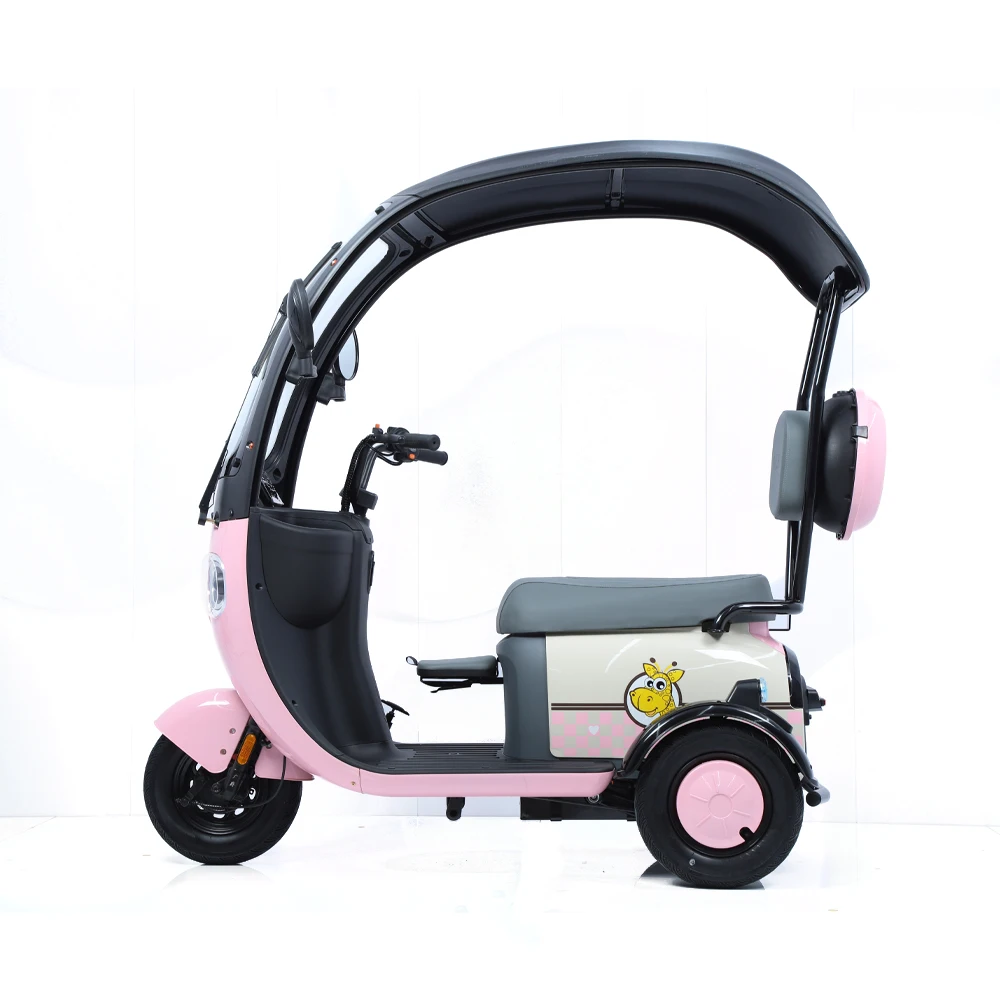 2024 New E-Bike 3 Wheels Electric Scooter 800W Family Use Electric Tricycle Bike For Adults