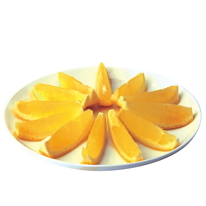 Cookware Lemon Cutter Machine Made in Japan Fruit & Vegetable Tools