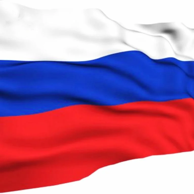 Дешевый рублевый платеж стоимость грузовых перевозок Ddp грузовой агент насыпной корабль из Китая в Россию