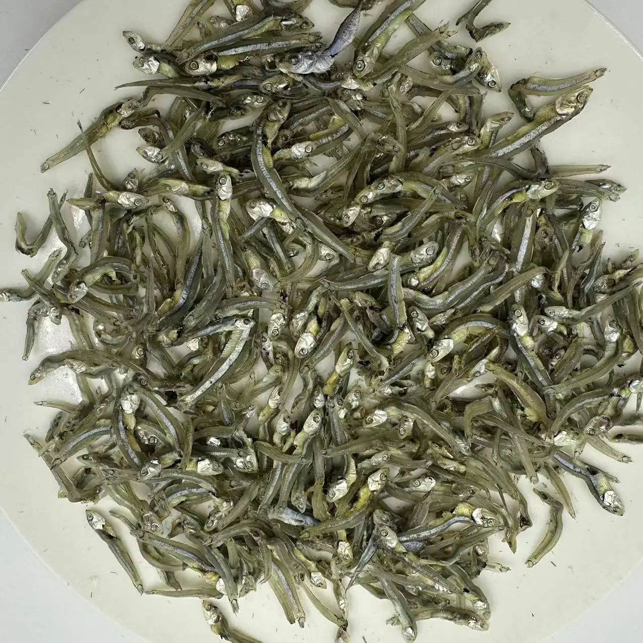 Dried wild Sardinella loniceps whole round with salt  Dried wild Sardine Fish