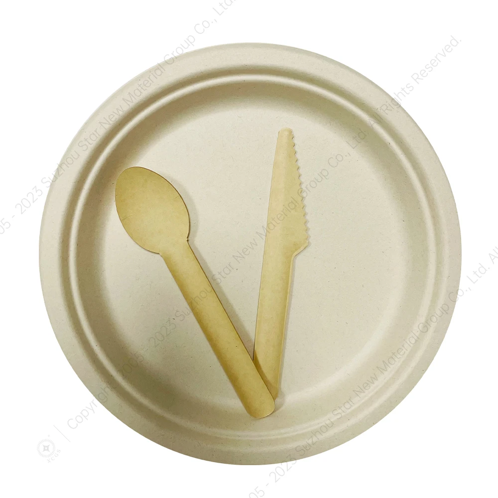 China Supplier Biodegradable Plate Disposable Sugarcane Bagasse Pulp Plates Bowl